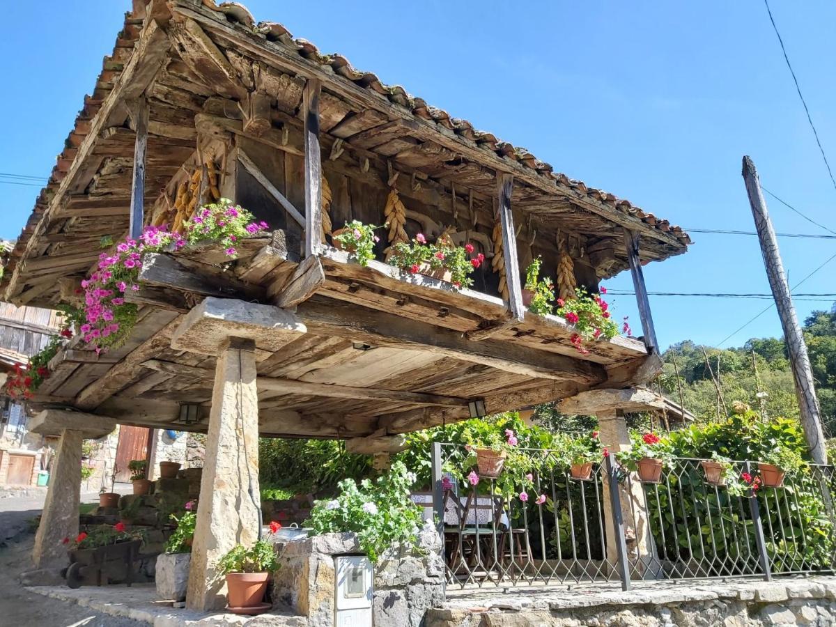El Colladin Konuk evi Llerices Dış mekan fotoğraf