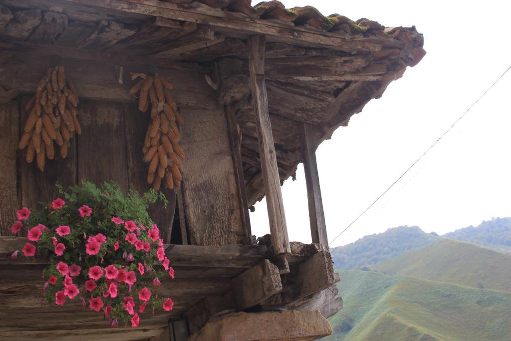 El Colladin Konuk evi Llerices Oda fotoğraf
