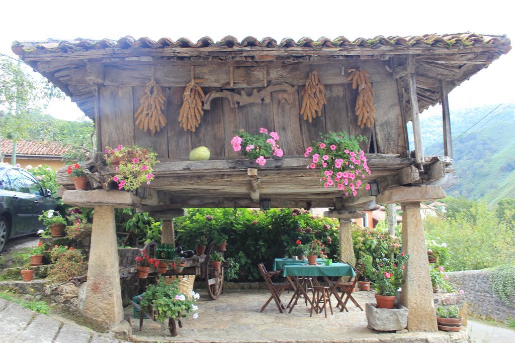 El Colladin Konuk evi Llerices Oda fotoğraf