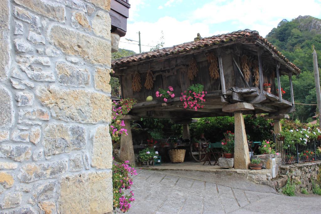 El Colladin Konuk evi Llerices Oda fotoğraf