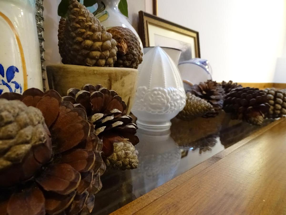 El Colladin Konuk evi Llerices Dış mekan fotoğraf