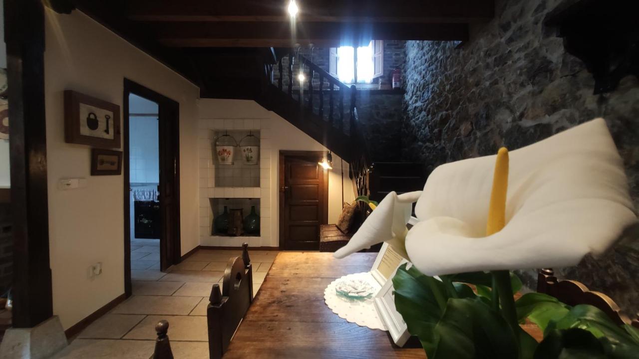 El Colladin Konuk evi Llerices Dış mekan fotoğraf