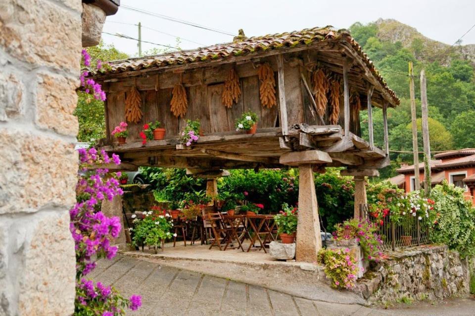 El Colladin Konuk evi Llerices Dış mekan fotoğraf